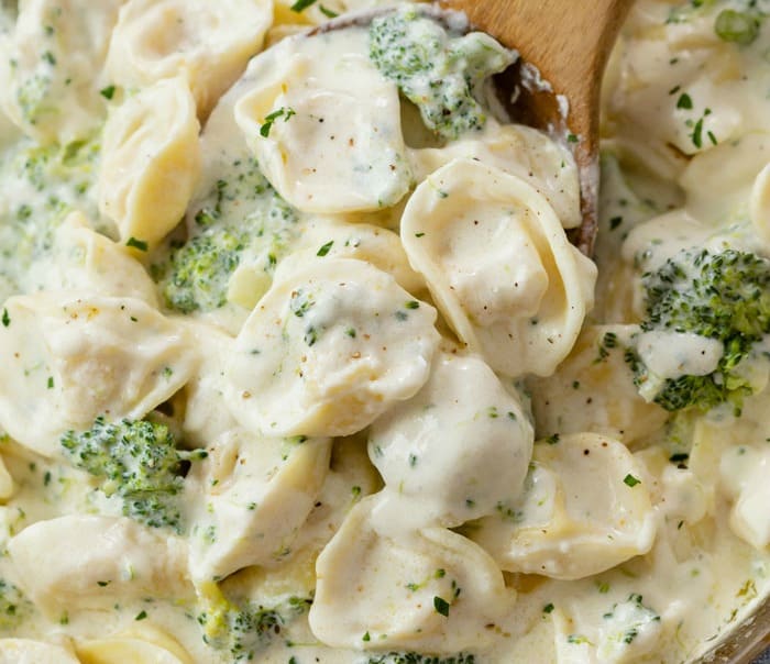 12. Tortellini Alfredo