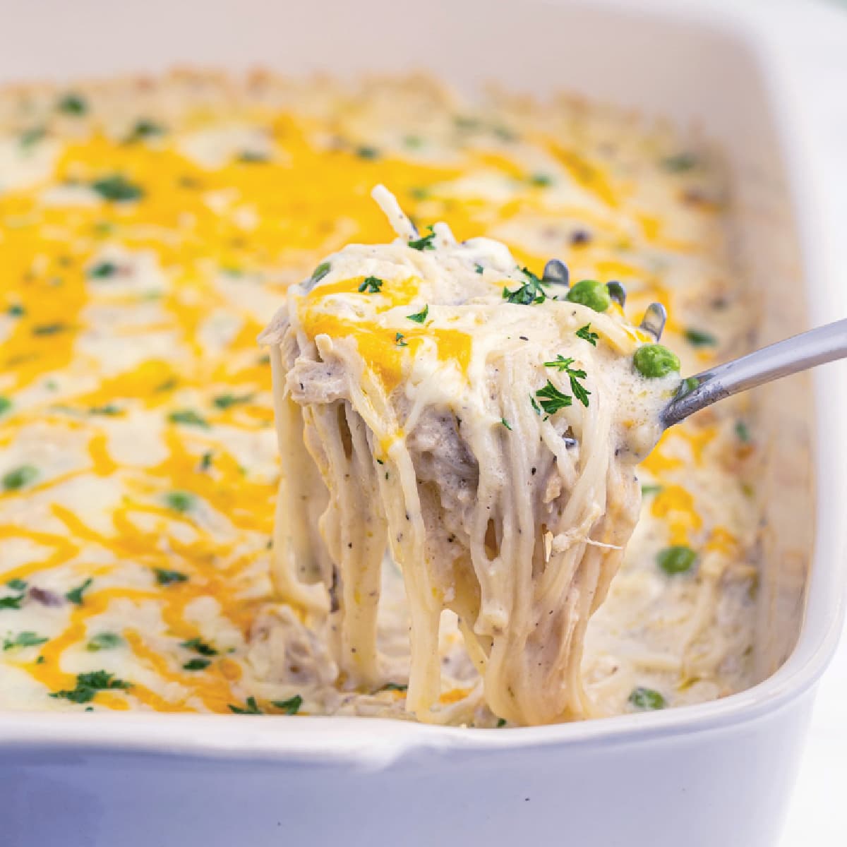 Keto Chicken Tetrazzini