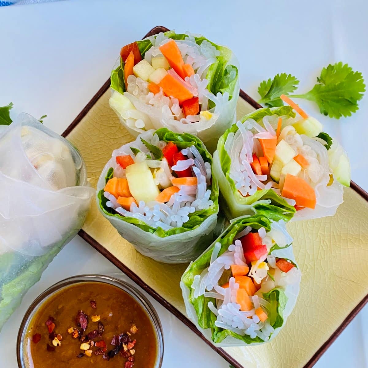 Fresh Vegetable Spring Rolls