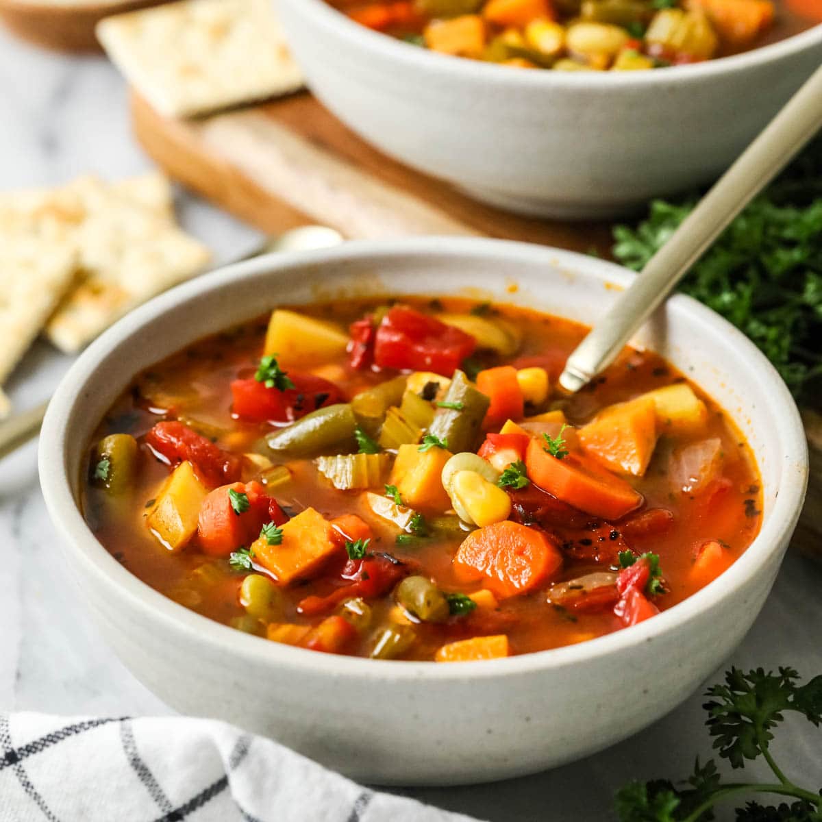 Vegetable Soup Recipe